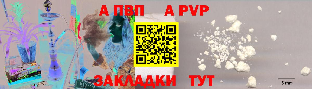 Альфа ПВП СК Кемерово