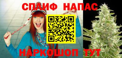 гидропоника Краснознаменск